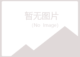 上海夏岚演艺有限公司